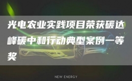光電農(nóng)業(yè)實(shí)踐項(xiàng)目榮獲碳達(dá)峰碳中和行動(dòng)典型案例一等獎(jiǎng)