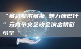 “多彩鄂爾多斯 魅力康巴什”元宵節(jié)文藝晚會(huì)演出精彩紛呈