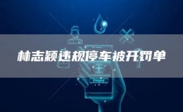  林志穎違規(guī)停車被開罰單