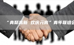 “青聚高新 歡慶元宵”青年聯(lián)誼會(huì)