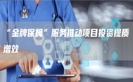 “金牌保姆”服務(wù)推動項目投資提質(zhì)增效
