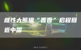 雌性大熊貓“香香”啟程回返中國