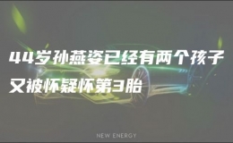 44歲孫燕姿已經(jīng)有兩個(gè)孩子又被懷疑懷第3胎