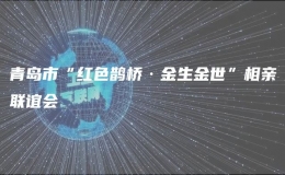 青島市“紅色鵲橋·金生金世”相親聯(lián)誼會