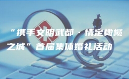 “攜手文明武都·情定橄欖之城”首屆集體婚禮活動(dòng)