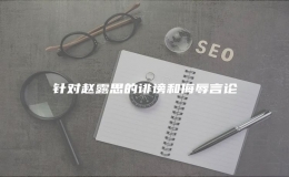 針對趙露思的誹謗和侮辱言論