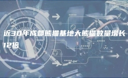  近30年成都熊貓基地大熊貓數(shù)量增長(zhǎng)12倍