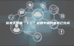 ?旅美大熊貓“丫丫”返回中國的審批已完成