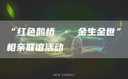 “紅色鵲橋 ? 金生金世”相親聯(lián)誼活動