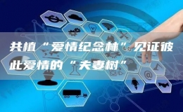 共植“愛情紀(jì)念林”見證彼此愛情的“夫妻樹”
