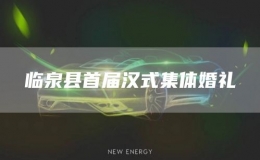 臨泉縣首屆漢式集體婚禮
