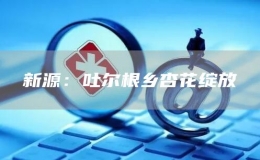 新源：吐?tīng)柛l(xiāng)杏花綻放