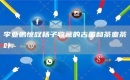 李亞鵬驚嘆楊子收藏的古董和茶壺茶葉