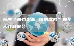 首屆“青春出彩 情系武陟”青年人才聯(lián)誼會(huì)