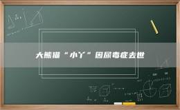 大熊貓“小丫”因尿毒癥去世