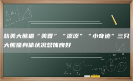 旅美大熊貓“美香”“添添”“小奇跡”三只大熊貓身體狀況總體良好