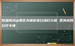 敦煌鳴沙山景區(qū)為駱駝設(shè)紅綠燈分流 意外成網(wǎng)紅打卡地
