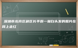 ?深圳市龍崗區(qū)副區(qū)長平原一撮白頭發(fā)的照片在網(wǎng)上走紅