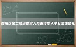 臨川區(qū)第二屆退役軍人及退役軍人子女集體婚禮