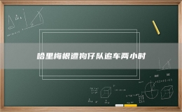 哈里梅根遭狗仔隊追車兩小時