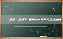 “雙碳”目標下 國內(nèi)外布局不同技術(shù)路線