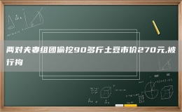 兩對(duì)夫妻組團(tuán)偷挖90多斤土豆市價(jià)270元,被行拘