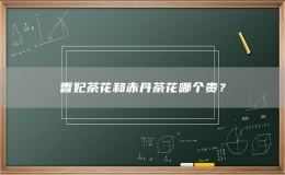 香妃茶花和赤丹茶花哪個(gè)貴？