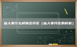 仙人掌什么時候會開花（仙人掌開花的時機(jī)）