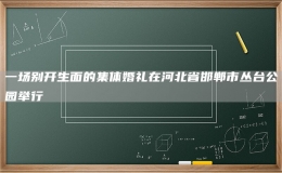 一場(chǎng)別開(kāi)生面的集體婚禮在河北省邯鄲市叢臺(tái)公園舉行