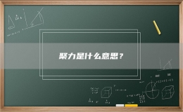 聚力是什么意思？