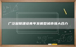 廣泛凝聚建設(shè)青年發(fā)展型城市強(qiáng)大合力