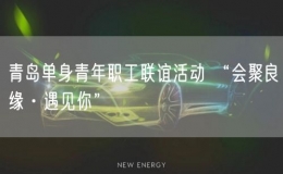 青島單身青年職工聯(lián)誼活動(dòng) “會聚良緣·遇見你”