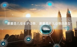 麒麟是幾級保護動物，麒麟是什么動物的原型