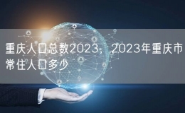 重慶人口總數(shù)2023，2023年重慶市常住人口多少