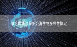 聯(lián)合國(guó)通過(guò)保護(hù)公海生物多樣性協(xié)定