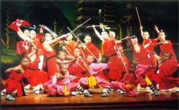 廣東十虎武功排名順序（廣東十虎真實存在嗎）