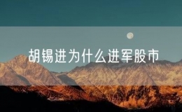 胡錫進(jìn)為什么進(jìn)軍股市