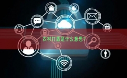 農村打盾是什么意思？