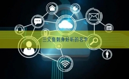 三文魚刺身好聽的名字