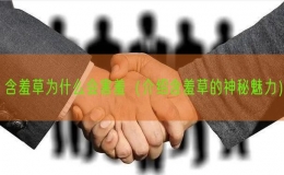含羞草為什么會(huì)害羞（介紹含羞草的神秘魅力）