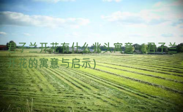 君子蘭開(kāi)花有什么兆頭寓意（君子蘭開(kāi)花的寓意與啟示）