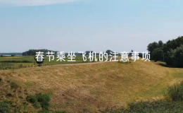 春節(jié)乘坐飛機的注意事項（春節(jié)出行安全提示）