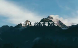 康乃馨的養(yǎng)殖方法（簡述康乃馨的栽培技術）