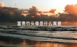 富貴竹頭像是什么寓意