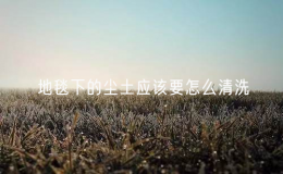 地毯下的塵土應該要怎么清洗（清潔地毯的有效方法）