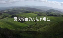 夏天釣魚的方法有哪些（夏季釣魚方法大全）
