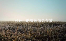已開口的榴蓮怎么存放