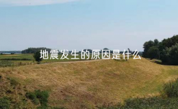 地震發(fā)生的原因是什么（介紹地震背后的科學原理）