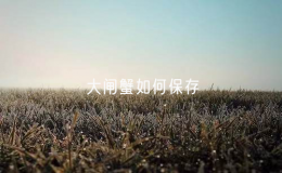 大閘蟹如何保存？（科學的大閘蟹保存方法）