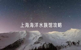 上海海洋水族館攻略（一次完美的海洋水族館之旅）